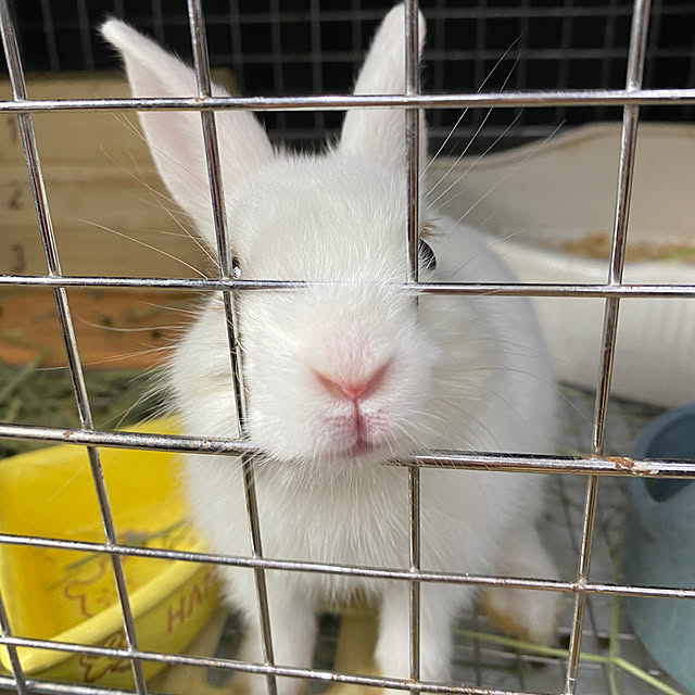 ohanaさんの部屋