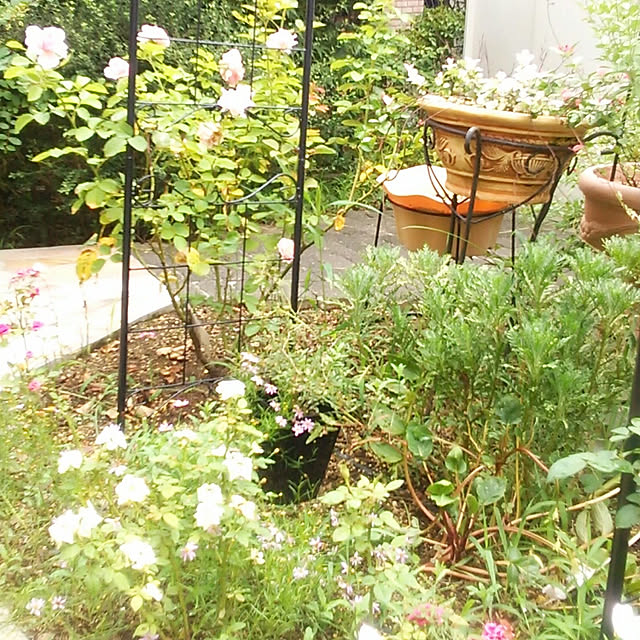 Tomopさんの実例写真