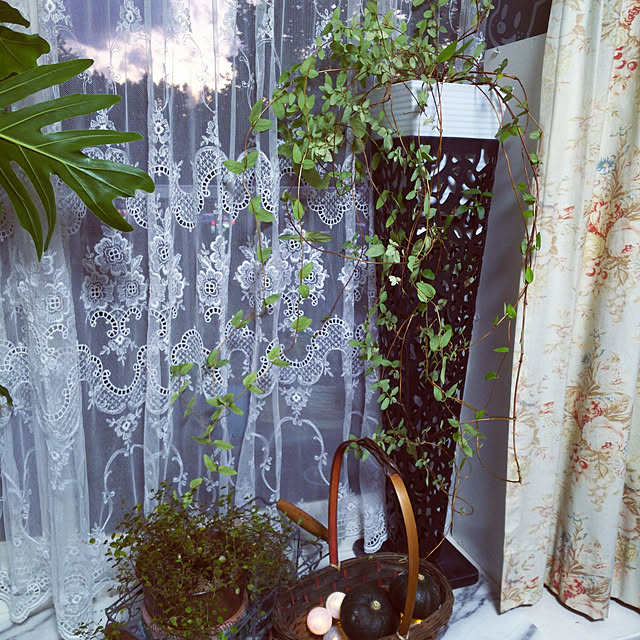 nyankonecoさんの実例写真