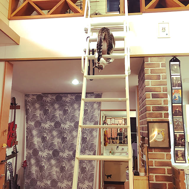 jijiさんの実例写真