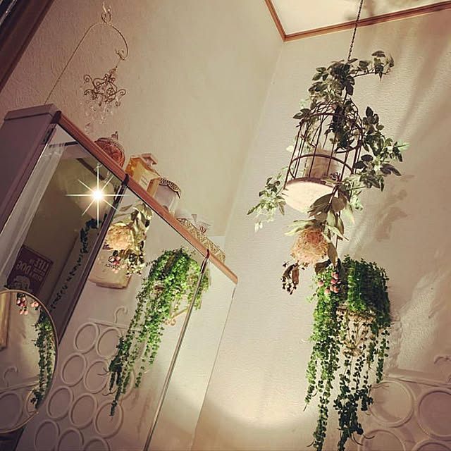 雑貨/ナチュラル/観葉植物/照明/ホワイトインテリア...などのインテリア実例 - 2020-12-09 21:26:24