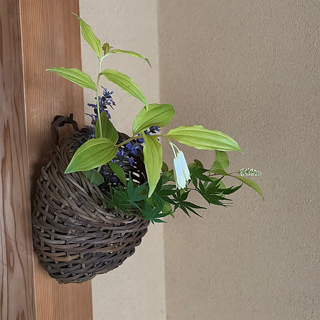 mozukuさんの実例写真