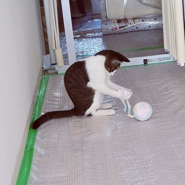 akimameさんの実例写真