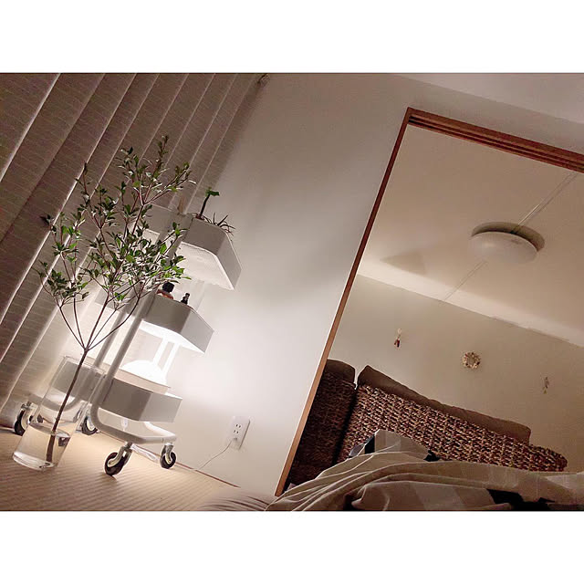 chaluさんの実例写真