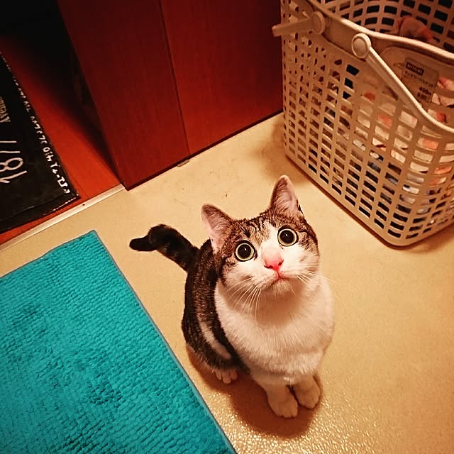 kiraさんの実例写真