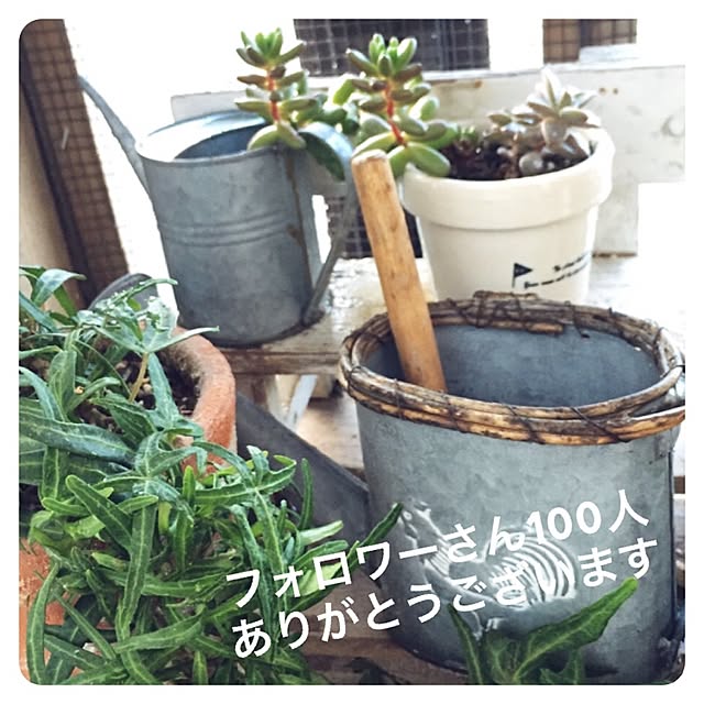 Hisayoさんの実例写真