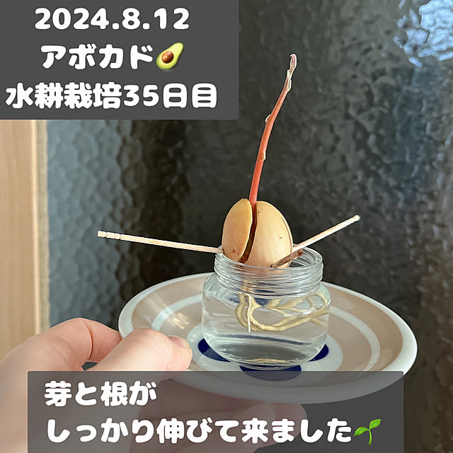 reika111さんの実例写真