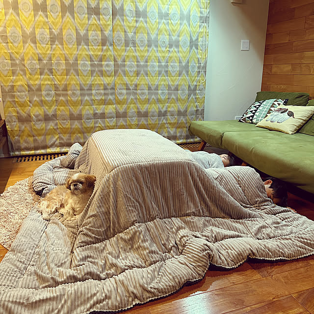 mynameisyuyu.さんの実例写真