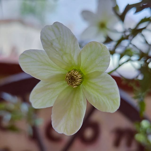 mocomocoさんの部屋