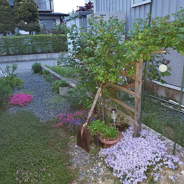 ranmamaさんの部屋