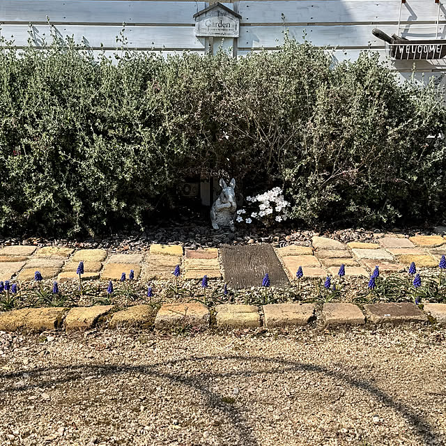 yuri.sさんの部屋