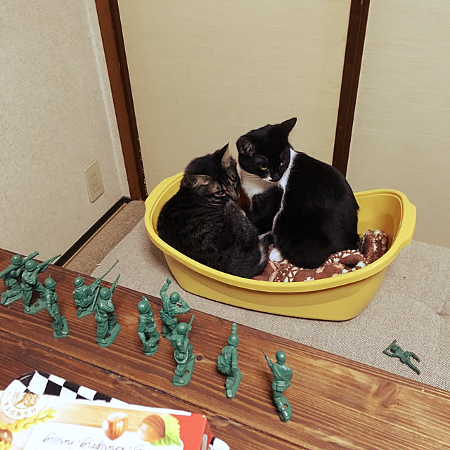 krycekさんの実例写真