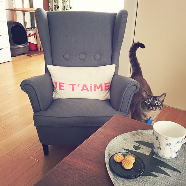 ayasmaさんの実例写真
