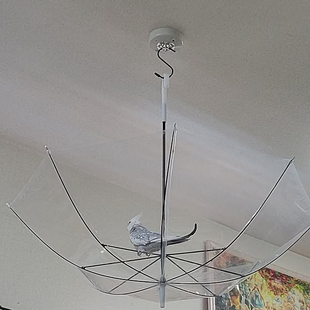 ANTENNAさんの実例写真