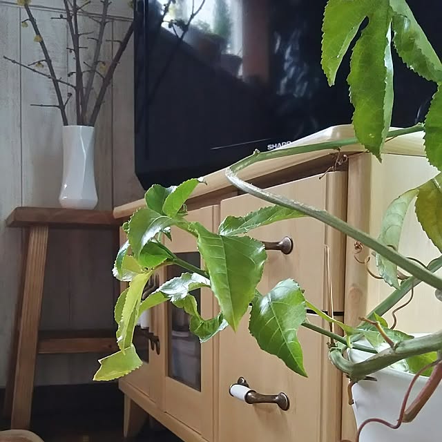 naopyiさんの実例写真