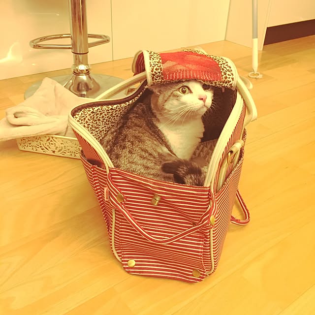 emmyyさんの実例写真