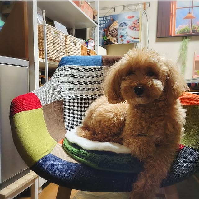 cherrycherryさんの実例写真