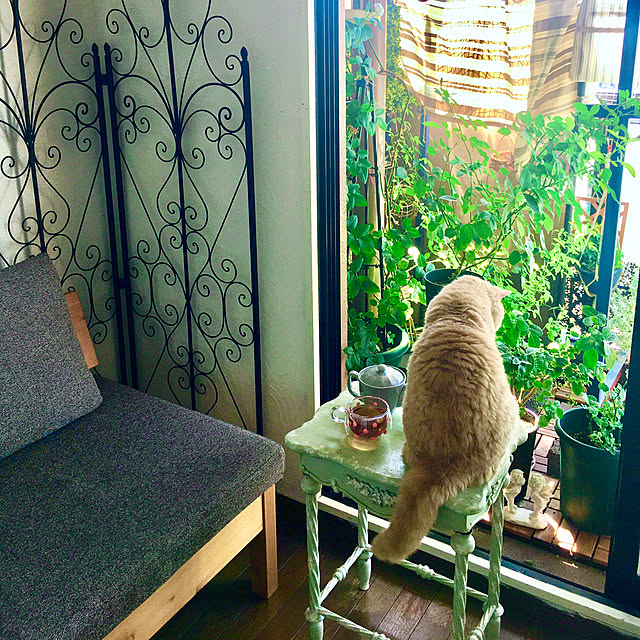 naokoさんの実例写真