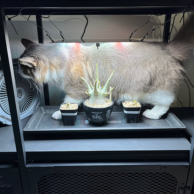 leoさんの部屋