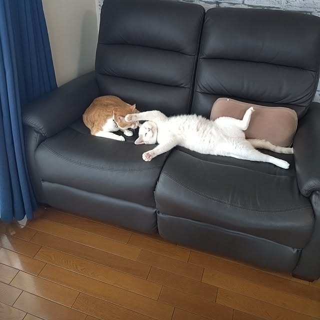 NOAHさんの実例写真