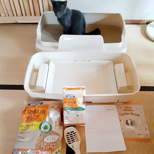 meguさんの実例写真