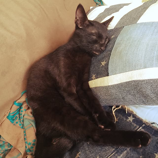 Beeさんの実例写真
