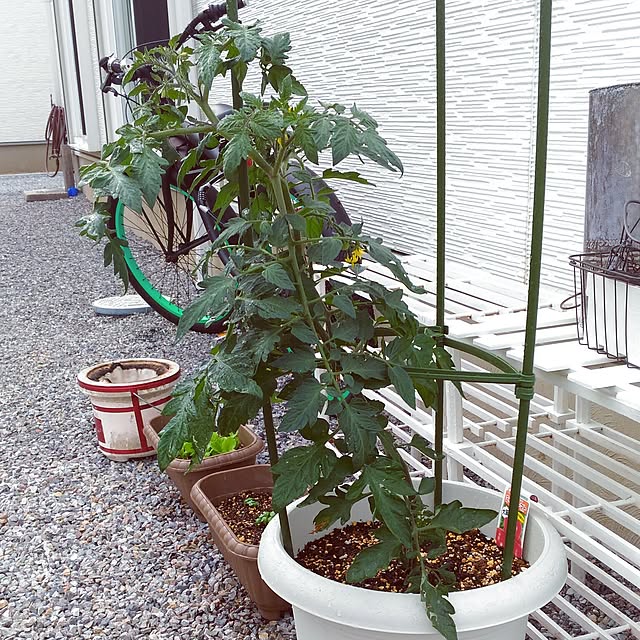 実例写真