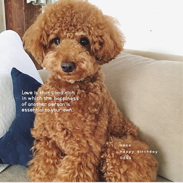 tomoさんの実例写真