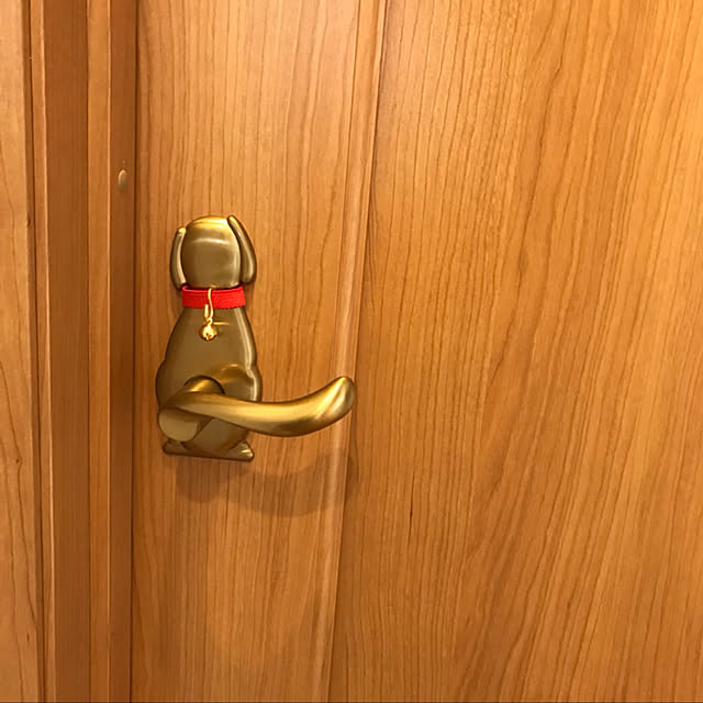 Shizukuさんの実例写真