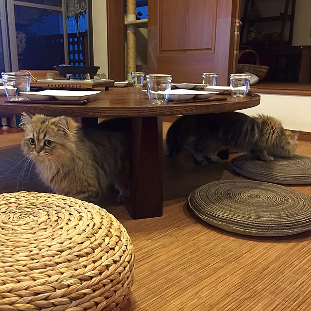 butachanさんの実例写真