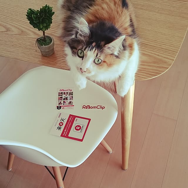sumosarozaさんの実例写真
