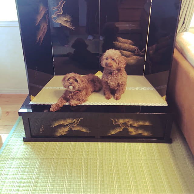 RUBYさんの実例写真