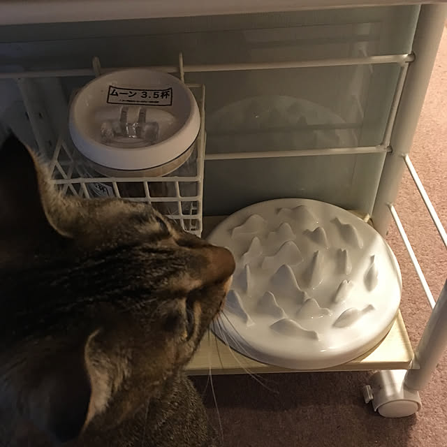mikomaruさんの実例写真
