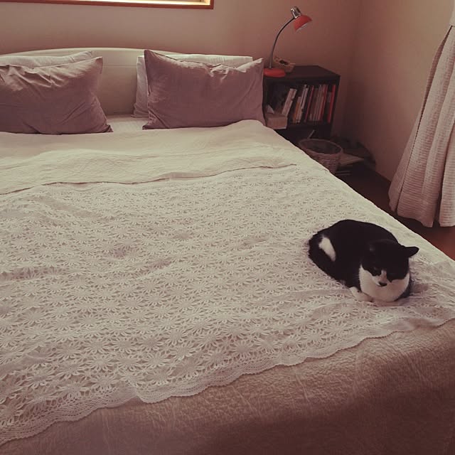 utataneさんの実例写真
