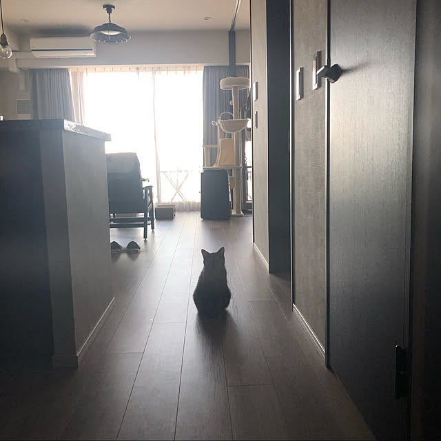 onumaさんの実例写真