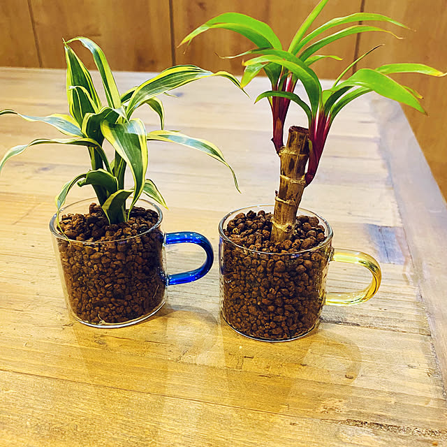 kokomi611さんの実例写真