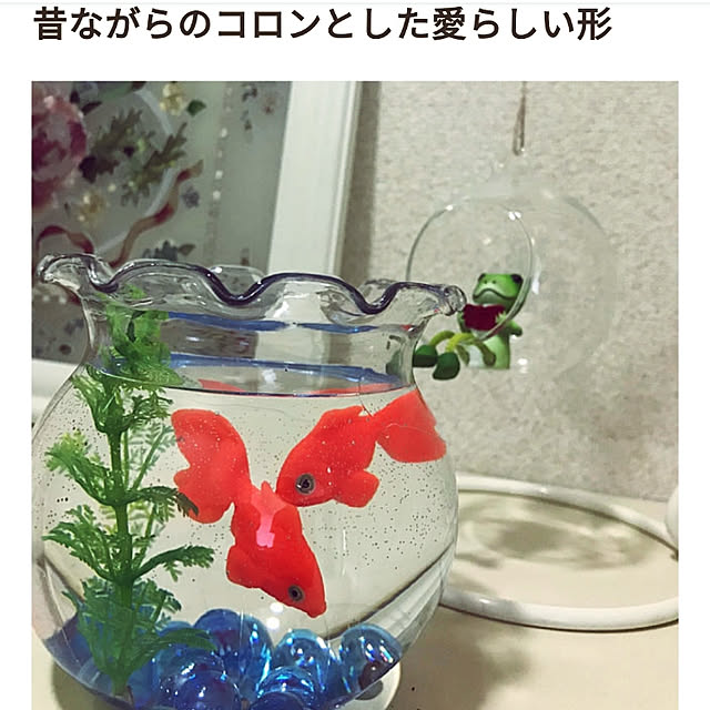 niko3さんの実例写真