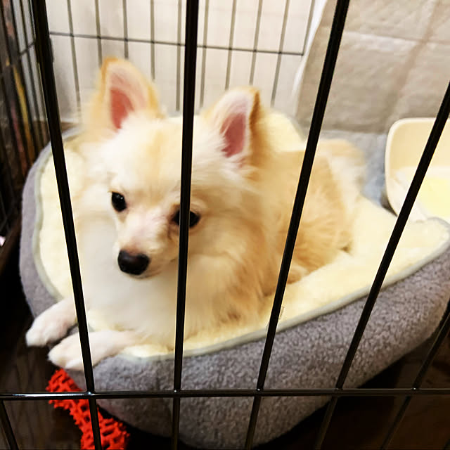 AKNさんの実例写真