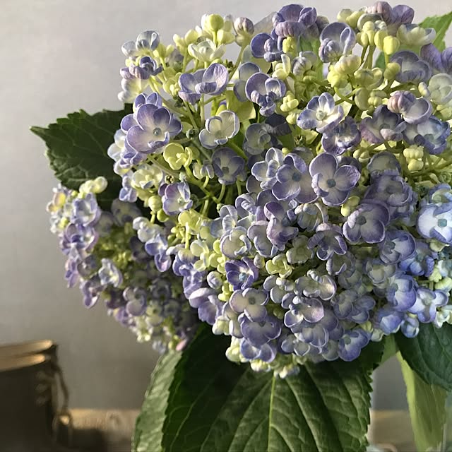 misamariさんの実例写真