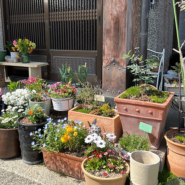 mohhaさんの実例写真