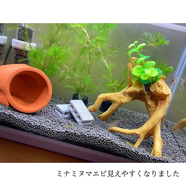 chaluさんの実例写真