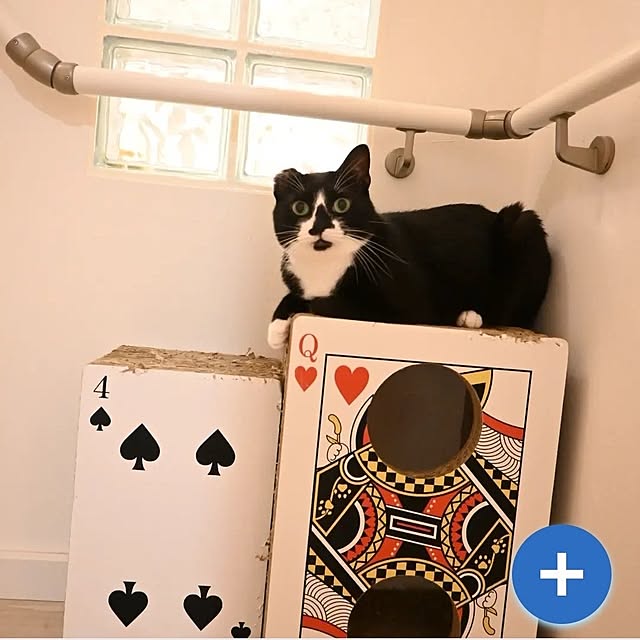 Marikoさんの実例写真