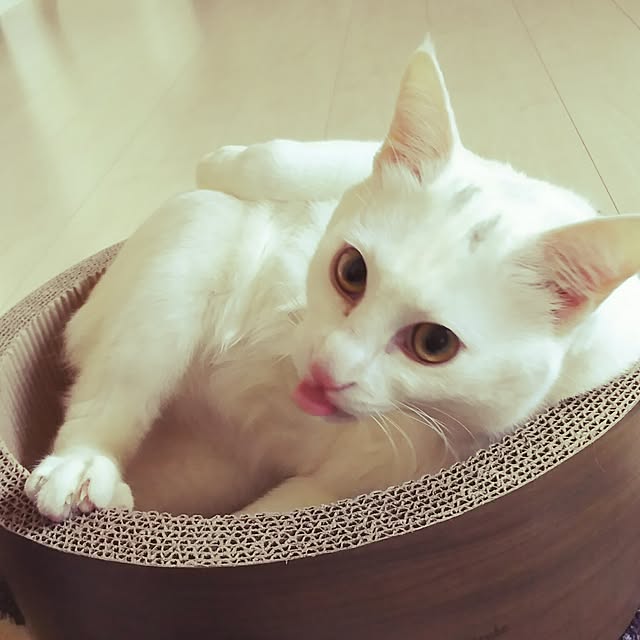 kaori0001さんの実例写真