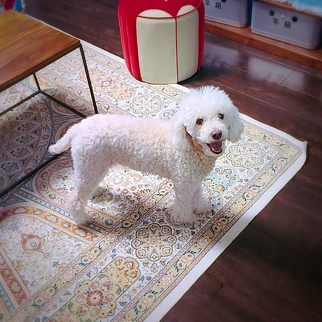municoさんの実例写真