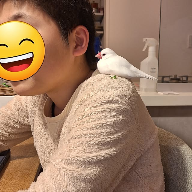 otokiさんの実例写真