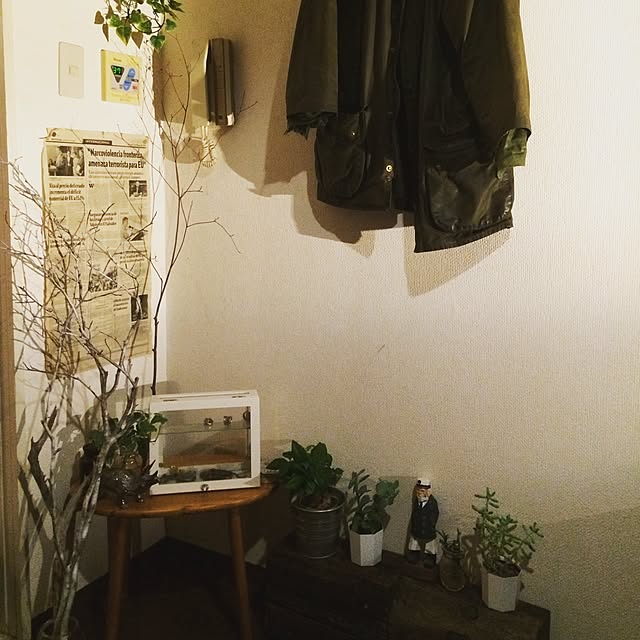 shigaさんの実例写真