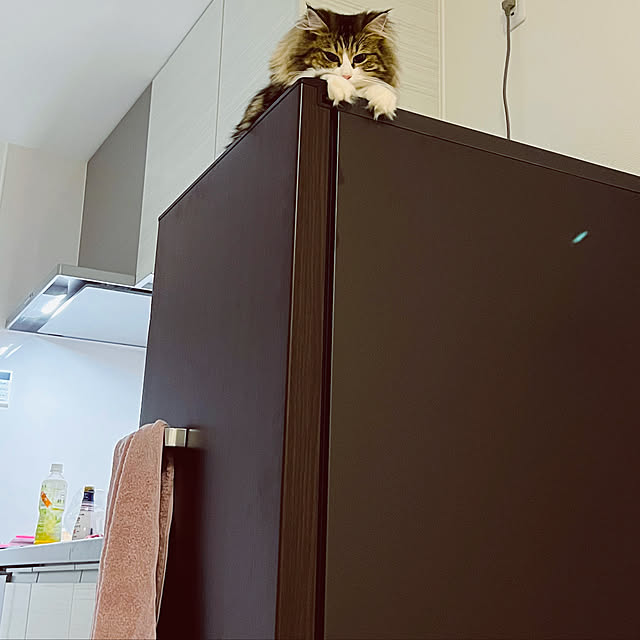 ruutasoさんの実例写真