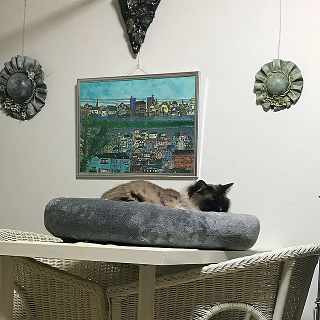 実例写真