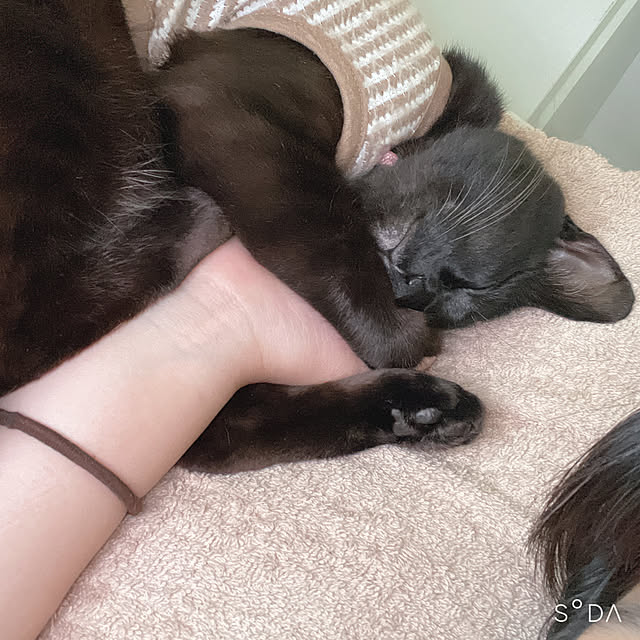yuuさんの実例写真