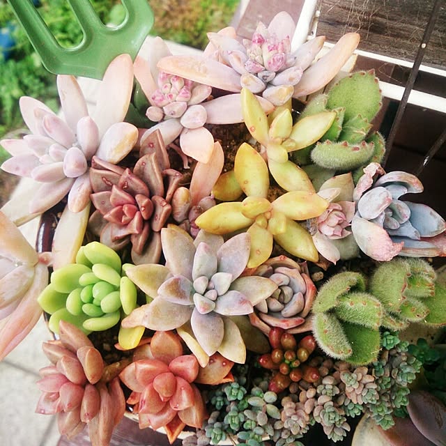実例写真
